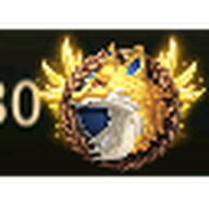 INV emblem