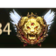 NER emblem